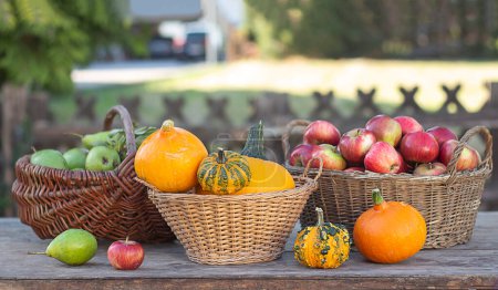 Photo for Various pumpkins. Pumpkins, apples and pears on a wooden table in baskets. Thanksgiving Day. Harvesting. - Royalty Free Image