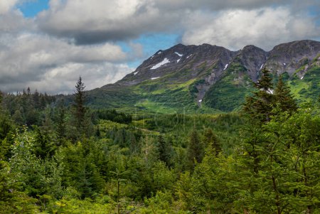 Photo for Girdwood Alaska, USA - July 23, 2011: Chugach Park. Thick green forest fronts gray mountain with snow patches under blue coudscape - Royalty Free Image