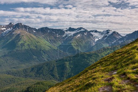 Photo for Girdwood Alaska, USA - July 23, 2011: Chugach Park. Yellow-green weeds on mountain flank in front of wide landscape of mountain range with snow patches under blue cloudscape. Green forests - Royalty Free Image