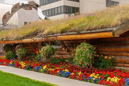 Photo for Anchorage, Alaska, USA - July 23, 2011: Bright red-yellow-blue flower bed on side of wooden and weed covered Visitor Center on F Street with other buildings and metal artsy arch in back - Royalty Free Image