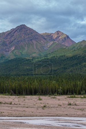 Foto de Denali Park, Alaska, EE.UU. - 25 de julio de 2011: Retrato que muestra 3 paisajes diferentes, río sobre guijarros, bosques que salen del valle y picos de montañas rocosas. Paisaje nuboso azul grueso - Imagen libre de derechos