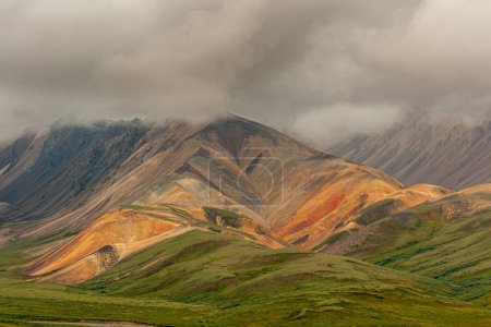 Foto de Denali Park, Alaska, EE.UU. - 25 de julio de 2011: Paisaje primer plano del flanco anaranjado de la montaña situado en un rango más oscuro bajo la espesa niebla marrón con la tundra verde por delante en las colinas como las olas del océano - Imagen libre de derechos