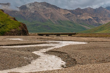 Foto de Denali Park, Alaska, Estados Unidos - 25 de julio de 2011: El paisaje se centra en el lecho de ríos de guijarros y semi-secos que serpentean en los picos de las montañas marrones. Puente de carretera plana cruza. Tundra verde en flancos - Imagen libre de derechos
