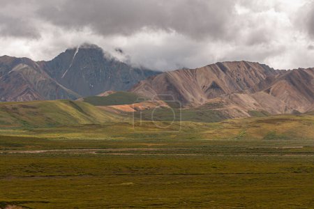 Foto de Denali Park, Alaska, EE.UU. - 25 de julio de 2011: Amplio paisaje ofrece tundra verde frente a la cordillera de color marrón grisáceo bajo un paisaje nublado gris - Imagen libre de derechos