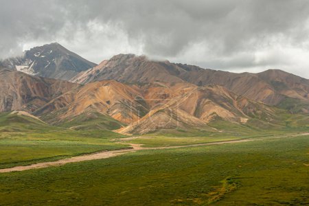 Foto de Denali Park, Alaska, EE.UU. - 25 de julio de 2011: Confluencia de 2 ríos semi-secos en la tundra verde. Grueso paisaje nublado gris sobre montañas de color marrón oscuro y marrón pálido - Imagen libre de derechos