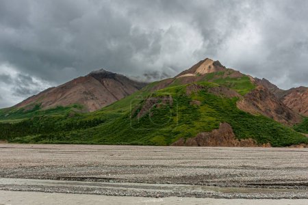 Photo for Denali Park, Alaska, USA - July 25, 2011: Lanscape with green forested mountain flank behind a very wide semi-dry pebbled river bed under thick gray cloudscape - Royalty Free Image