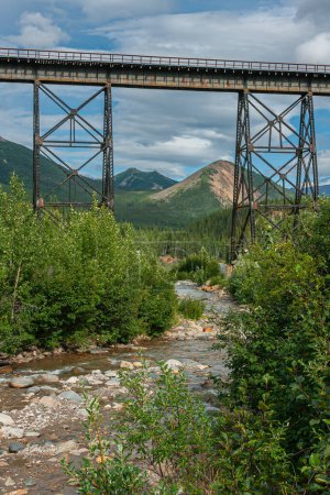 Foto de Denali Park, Alaska, EE.UU. - 24 de julio de 2011: Retrato, río Nenana fluye bajo el puente ferroviario en el paisaje con costas boscosas y paisaje nuboso azul - Imagen libre de derechos
