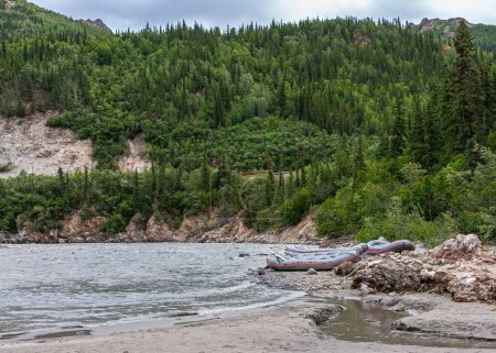 Photo for Denali Park, Alaska, USA - July 24, 2011: Rafting on Nenana River. Alaska Raft dinghies out of Nenana River on sandy shoreline with thick green forested mountain belt in back - Royalty Free Image
