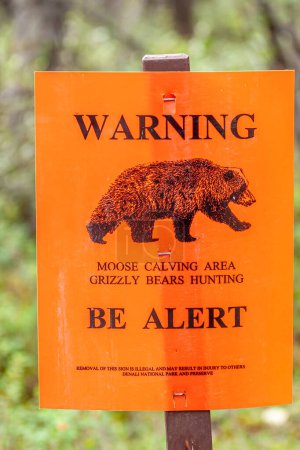 Foto de Denali Park, Alaska, EE.UU. - 24 de julio de 2011: Primer plano de la señal de advertencia del oso pardo naranja, ya que es el área de parto de alces. Imagen del animal de caza. Fondo de follaje verde desvanecido - Imagen libre de derechos