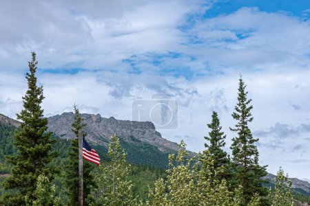 Foto de Denali Park, Alaska, EE.UU. - 24 de julio de 2011: Bandera Nacional de los Estados Unidos, estrellas y rayas, olas sobre el bosque verde bajo el paisaje nublado azul - Imagen libre de derechos