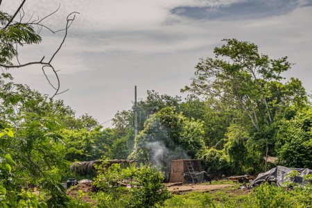Téléchargez les photos : Zihuatanejo, Mexique - 18 juillet 2023 : Four historique en terre cuite. Four brun sous le feu produisant de la fumée grise, situé dans un décor de jungle verte sous un paysage nuageux gris - en image libre de droit