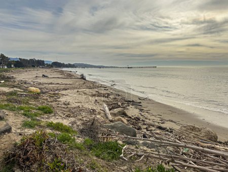 Photo for Santa Barbara, California, USA - March 10, 2024:: Wide Panorama, Yellow patches in gray morning clouds over Goleta Pier and beach, soiled by piles of driftwood, near UCSB. - Royalty Free Image