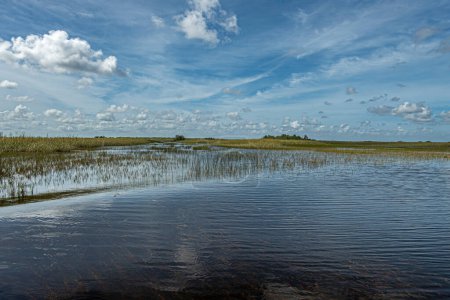 Everglades, Florida, USA - 29. Juli 2023: Weite schwarze Flusslandschaft, getrennt von blauer Wolkenlandschaft durch grün-gelben Schilfgürtel. Einige Bäume auf. Horizont, 