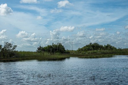 Everglades, Florida, USA - July 29, 2023: Wide landscape. Green tree belt separates blue swamp water from blue cloudscape