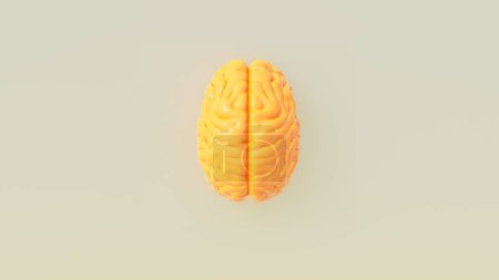 Foto de Amarillo naranja cerebro humano cubierta ilustraciones inteligencia mente concepto cálido gris fondo superior ver 3d ilustración render - Imagen libre de derechos
