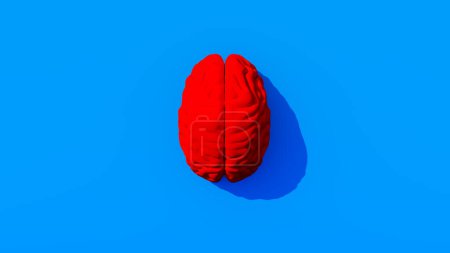 Téléchargez les photos : Cerveau humain rouge vif fond bleu vif Intelligence mentale médicale Think Top View Illustration 3D render - en image libre de droit