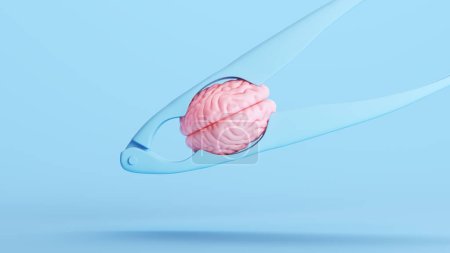 Foto de Cerebro humano rosa en un cascanueces Presión mental Estrés Salud Sensibilización Depresión Mente Azul Fondo Ilustración 3D renderizado digital - Imagen libre de derechos