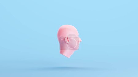 Photo for Pink Anatomical Ecorche Human Head Medical Musculature Sculpture Profile Model Blue Kitsch Background Right View 3d illustration render digital rendering - Royalty Free Image