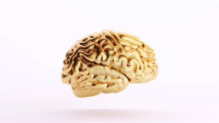 Téléchargez les photos : Or Cerveau d'or Anatomie humaine Intelligence mentale Art d'organe médical Richesse Vue de côté Blanc Arrière-plan Illustration 3d rendre rendu numérique - en image libre de droit