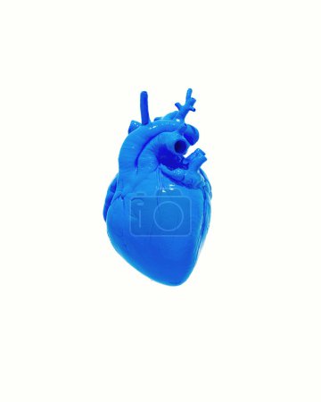 Photo for Blue Human Heart Anatomical White Background Shiny Wet Blood Organ Anatomy Science Graphic Diagram 3d illustration render digital rendering - Royalty Free Image