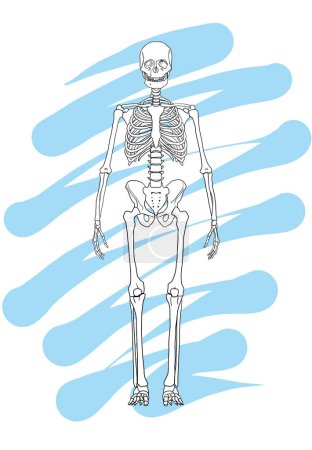 Photo for Skeleton Line Drawing Spaceman Hand Drawn Blue Splash Graphic Retro Illustration Overlay Layer Illustration - Royalty Free Image