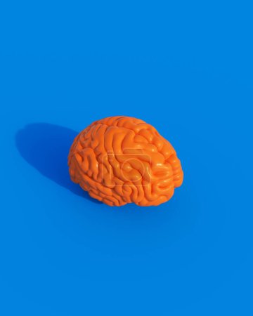 Foto de Naranja brillante cerebro humano inteligencia órgano anatomía luz del sol fondo azul 3d ilustración renderizado digital - Imagen libre de derechos