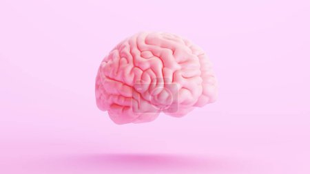 Foto de Rosa cerebro anatomía mente inteligencia médico órgano ciencia rosa fondo cuarto vista 3d ilustración renderizado digital - Imagen libre de derechos