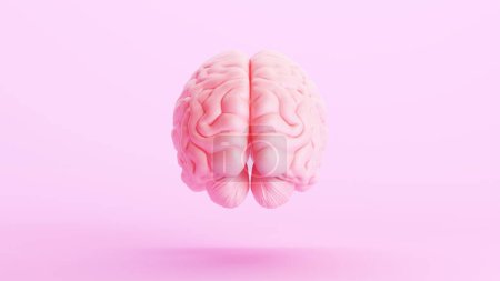 Foto de Rosa cerebro anatomía mente inteligencia médico órgano ciencia rosa fondo vista trasera 3d ilustración renderizado digital - Imagen libre de derechos