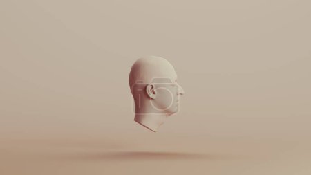 Ecorche Studie Muskeln ohne Haut anatomische Kopf neutral Hintergründe weiche Töne beige braun rechts Ansicht 3D Illustration Rendern Digital Rendering