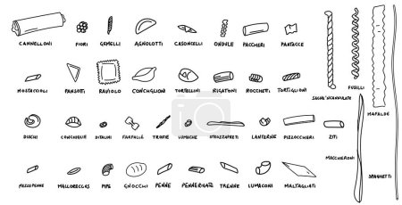Téléchargez les photos : Types of italian pasta hand drawn, doodle and vector illustration icons set - en image libre de droit