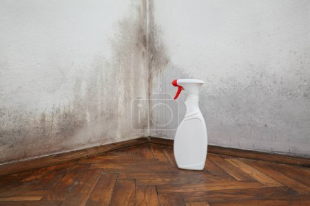 Téléchargez les photos : Vieille maison murale avec moule et solution de nettoyage dans une bouteille - en image libre de droit
