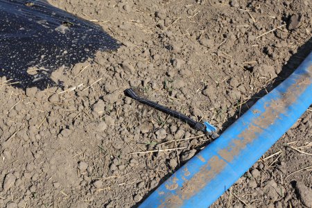 Foto de Equipo de riego en un campo, tubo de plástico para riego, agricultura en primavera - Imagen libre de derechos