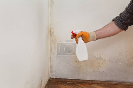 Foto de Eliminación de moho en el hogar, solución de limpieza de pulverización de trabajadores de botella a pared - Imagen libre de derechos
