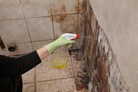 Foto de Mano femenina en guante protector rociando solución de limpieza a azulejos sucios, baño sucio y sucio, muy mal estado - Imagen libre de derechos