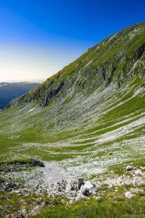 Téléchargez les photos : Jour d'été paysage de montagne. Montagnes rocheuses vertes et ciel bleu. Mont Setea Mare, Montagnes Parang, Roumanie. - en image libre de droit