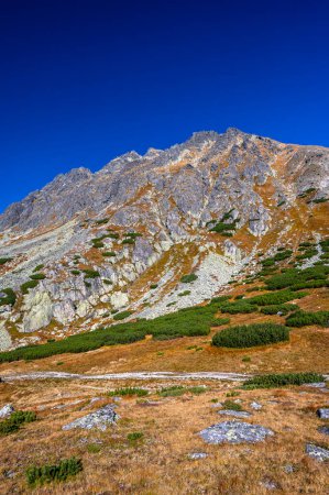 Téléchargez les photos : Solisko Mountain Ridge. Paysage automnal des Hautes Tatras. L'une des destinations touristiques les plus populaires en Pologne et en Slovaquie. Journée ensoleillée d'octobre dans les montagnes. - en image libre de droit