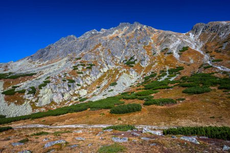 Téléchargez les photos : Solisko Mountain Ridge. Paysage automnal des Hautes Tatras. L'une des destinations touristiques les plus populaires en Pologne et en Slovaquie. Journée ensoleillée d'octobre dans les montagnes. - en image libre de droit