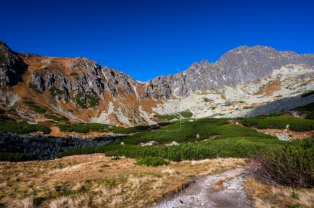 Foto de El Valle Furkotska. Paisaje otoñal de los Altos Tatras. Uno de los destinos turísticos más populares de Polonia y Eslovaquia. Soleado día de octubre en las montañas. - Imagen libre de derechos