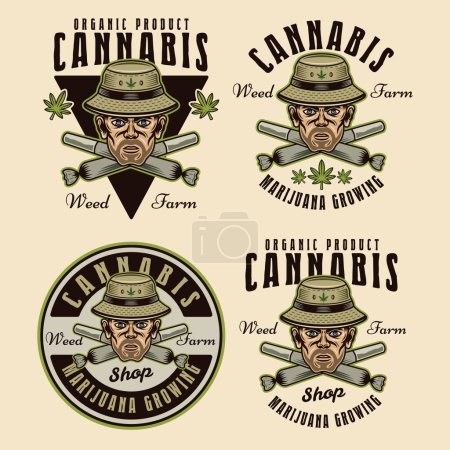 Ilustración de Marijuana growing set of four vector emblems, badges, labels or logos. Illustration in colorful style on light background - Imagen libre de derechos