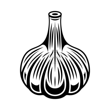 Téléchargez les illustrations : Garlic vector black monochrome graphic object or design element in engraving style isolated on white - en licence libre de droit