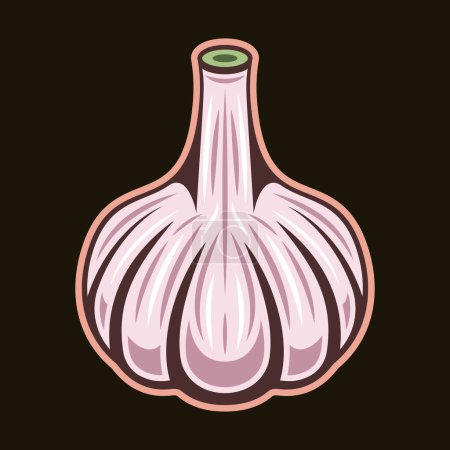 Téléchargez les illustrations : Garlic spice product vector colorful illustration in vintage style on dark background - en licence libre de droit
