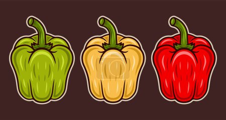 Téléchargez les illustrations : Set of three bell peppers in various colors, red, yellow, green vector colorful illustration - en licence libre de droit
