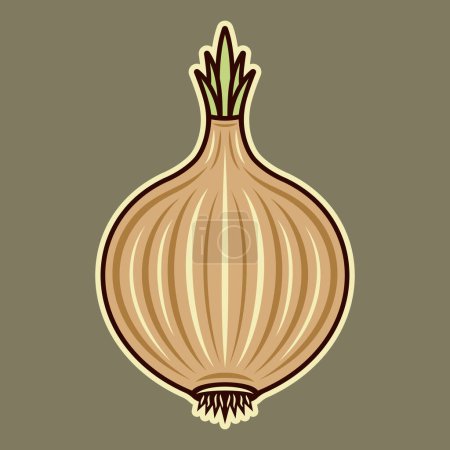 Ilustración de Onion vector colored illustration in vintage style on light green background - Imagen libre de derechos