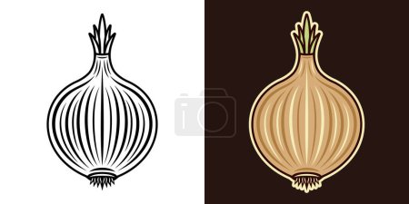 Téléchargez les illustrations : Onion vector colored illustration in two styles black on white and colorful on dark background - en licence libre de droit