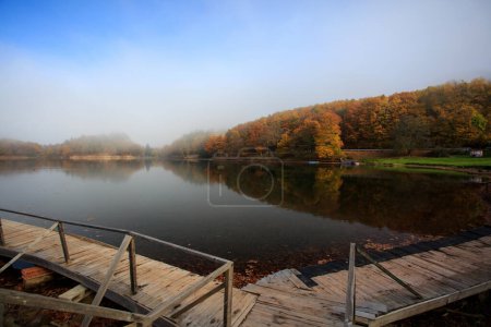 Foto de Hermosa vista panorámica del lago y el bosque con niebla mañana - Imagen libre de derechos