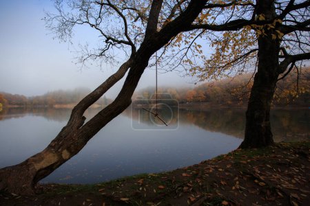 Foto de Hermosa vista panorámica del lago y el bosque con niebla mañana - Imagen libre de derechos