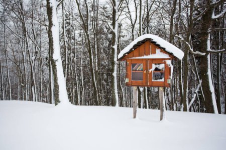 Téléchargez les photos : Bibliothèque dans la neige et la forêt Séduisant voyage de plein air en vacances de neige d'hiver. - en image libre de droit
