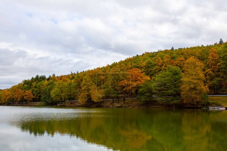 Téléchargez les photos : Automne forêt de feuillage reflétant dans la surface immobile de l'eau du lac, Belles couleurs de feuillage d'automne au-dessus de l'eau. - en image libre de droit