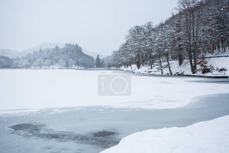 Foto de Árboles en la nieve. Paisaje invernal. Geoparque en Europa. Lago congelado. - Imagen libre de derechos
