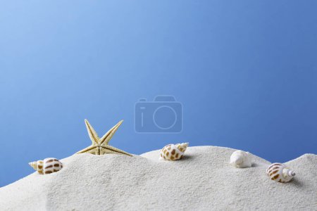 Foto de Estrella de mar en la playa - Imagen libre de derechos
